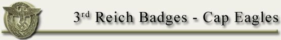  3rdreichbadges_capeagles