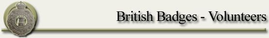  britishbadges_volunteers