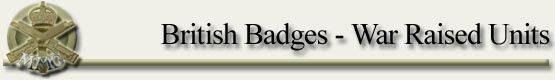  britishbadges_warraisedunits